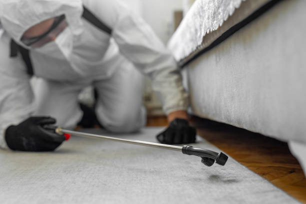 Professional Bed Bug Control technician working in Kelseyville, CA