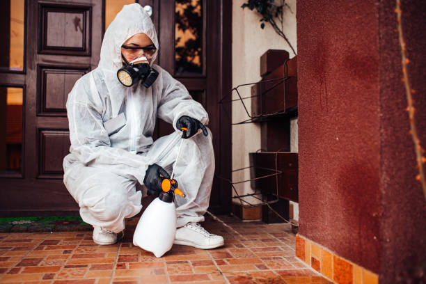 Reliable Bed Bug Control contractor in Kelseyville, CA by Nex Pest Control